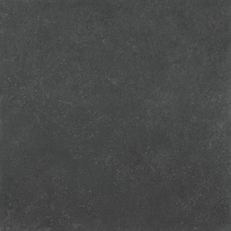 Camlot Midnight