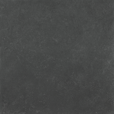 Camlot Midnight