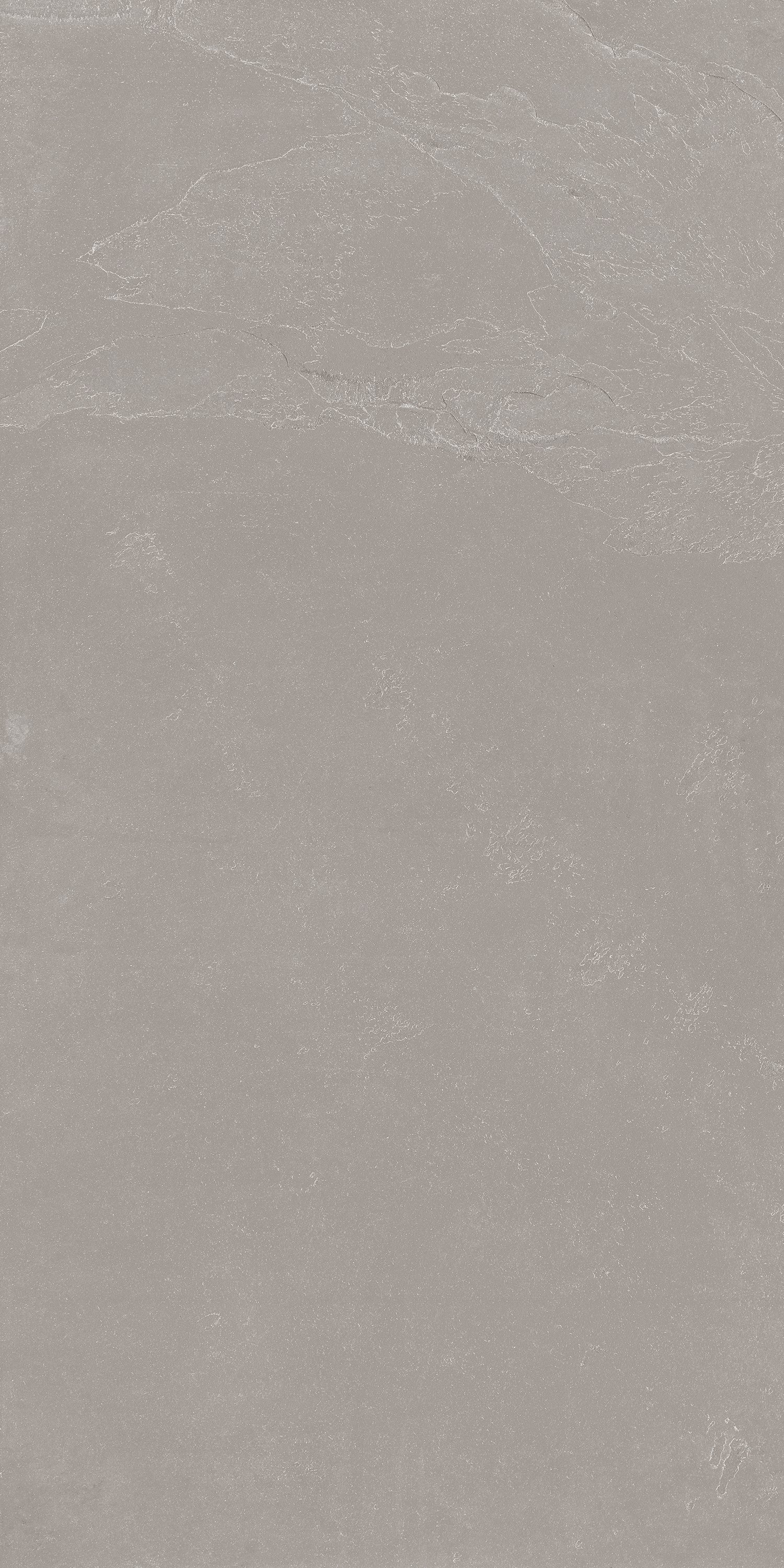Slate Grey Porțelanat